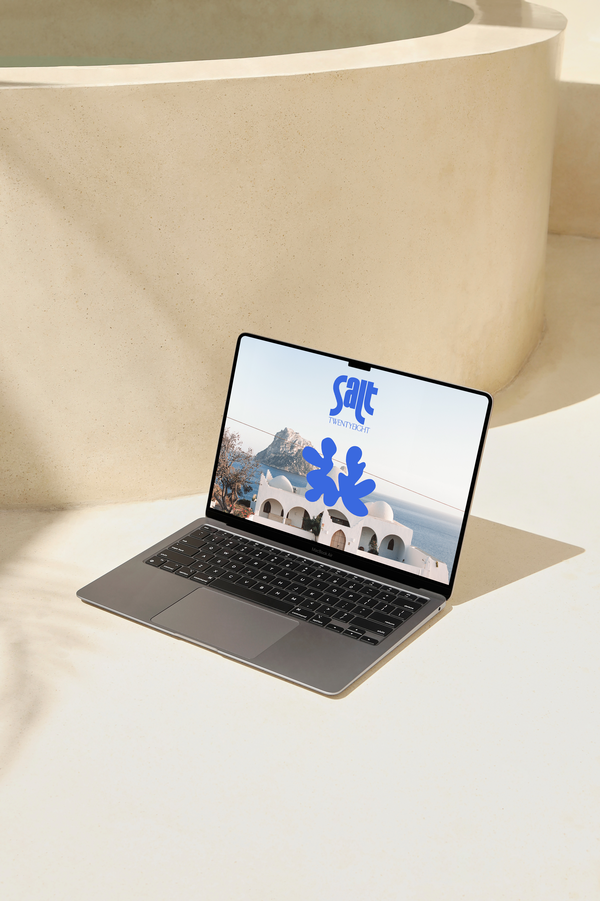 salt-logo-v1-web-pool-7